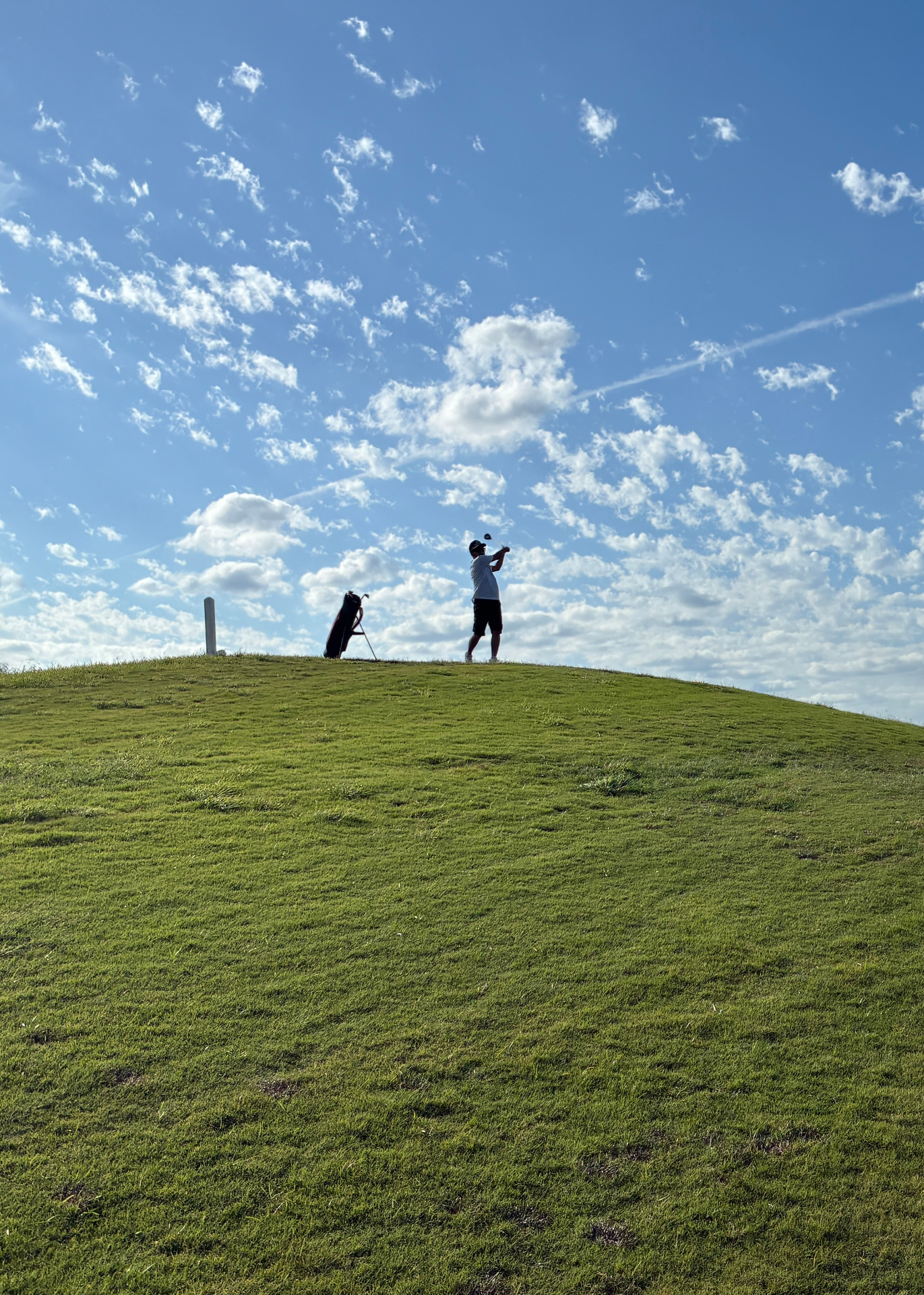 The Backswing